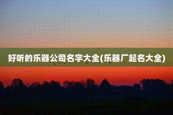 好听的乐器公司名字大全(乐器厂起名大全)