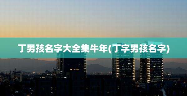 丁男孩名字大全集牛年(丁字男孩名字)