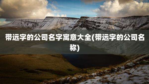 带远字的公司名字寓意大全(带远字的公司名称)