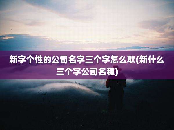 新字个性的公司名字三个字怎么取(新什么三个字公司名称)