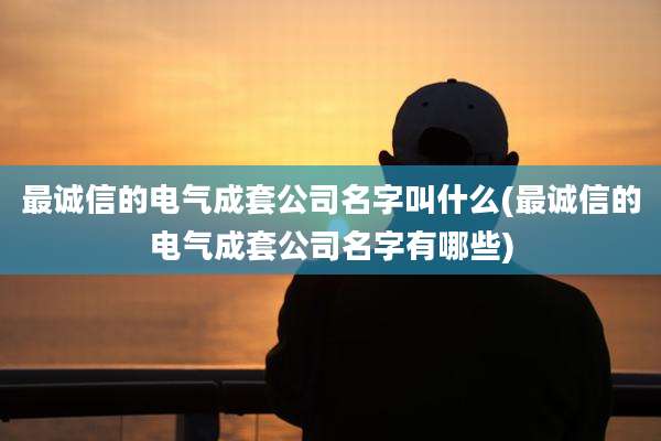 最诚信的电气成套公司名字叫什么(最诚信的电气成套公司名字有哪些)