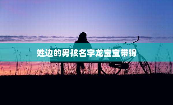 姓边的男孩名字龙宝宝带锦
