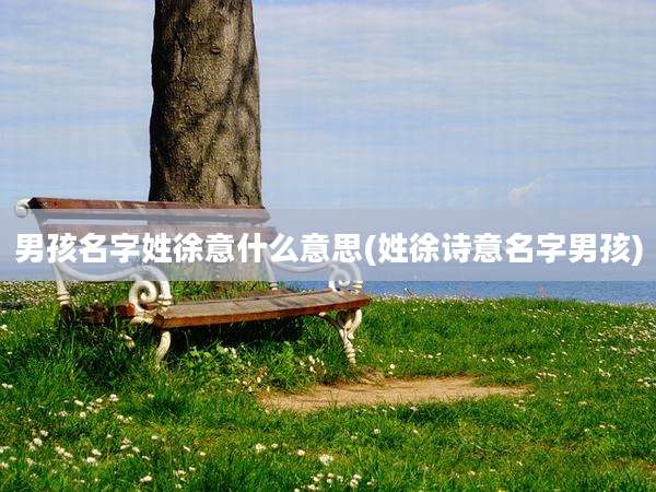 男孩名字姓徐意什么意思(姓徐诗意名字男孩)