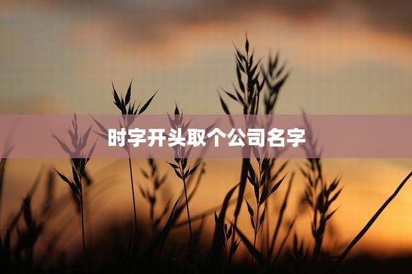 时字开头取个公司名字