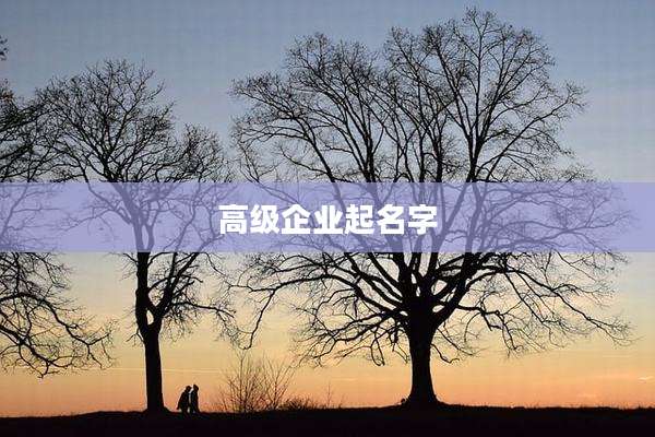 高级企业起名字