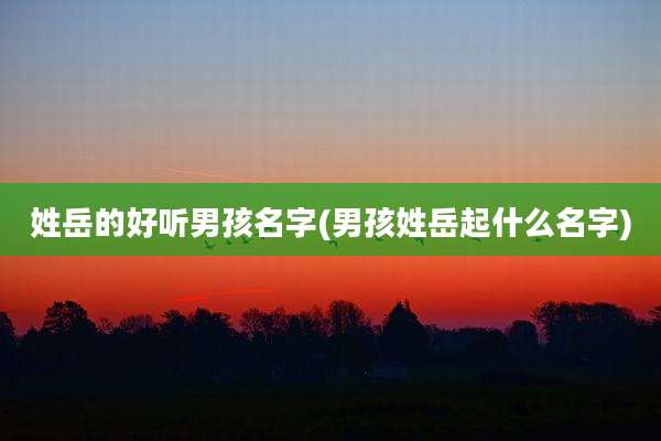 姓岳的好听男孩名字(男孩姓岳起什么名字)