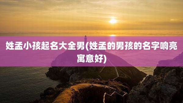 姓孟小孩起名大全男(姓孟的男孩的名字响亮寓意好)