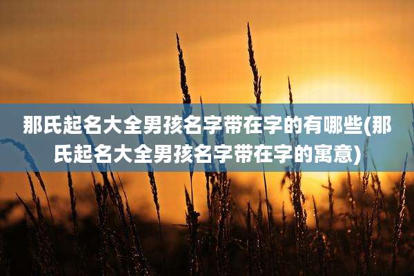那氏起名大全男孩名字带在字的有哪些(那氏起名大全男孩名字带在字的寓意)
