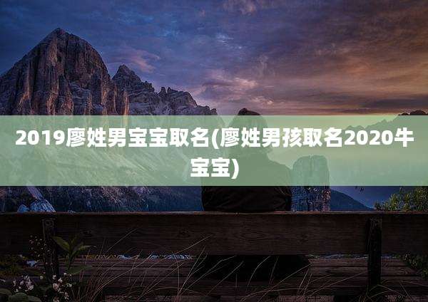 2019廖姓男宝宝取名(廖姓男孩取名2020牛宝宝)