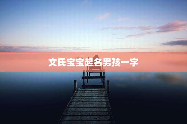 文氏宝宝起名男孩一字