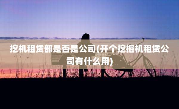 挖机租赁部是否是公司(开个挖掘机租赁公司有什么用)
