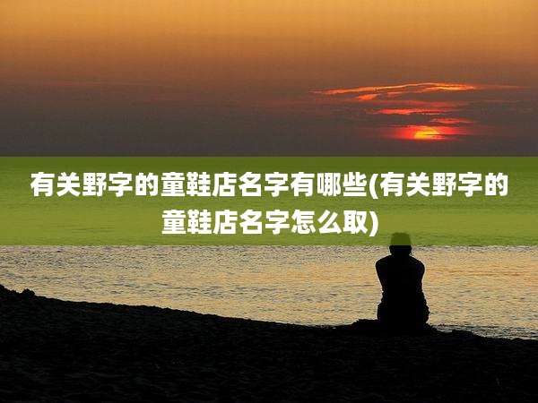 有关野字的童鞋店名字有哪些(有关野字的童鞋店名字怎么取)