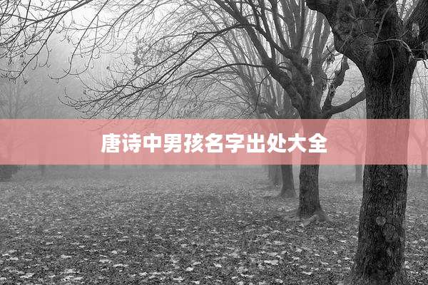 唐诗中男孩名字出处大全