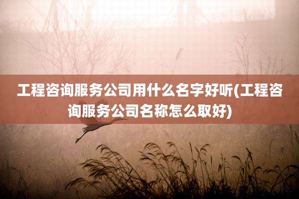 工程咨询服务公司用什么名字好听(工程咨询服务公司名称怎么取好)