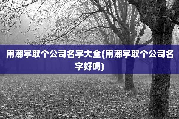 用潮字取个公司名字大全(用潮字取个公司名字好吗)