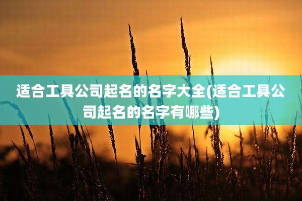 适合工具公司起名的名字大全(适合工具公司起名的名字有哪些)