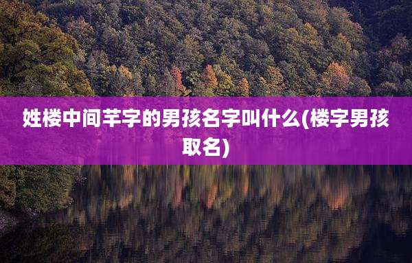姓楼中间芊字的男孩名字叫什么(楼字男孩取名)