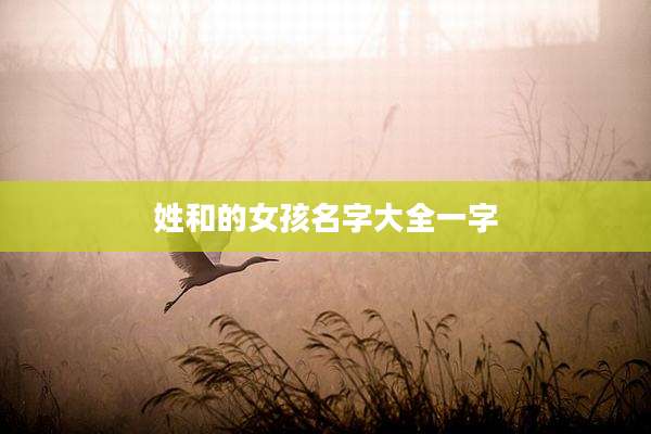 姓和的女孩名字大全一字