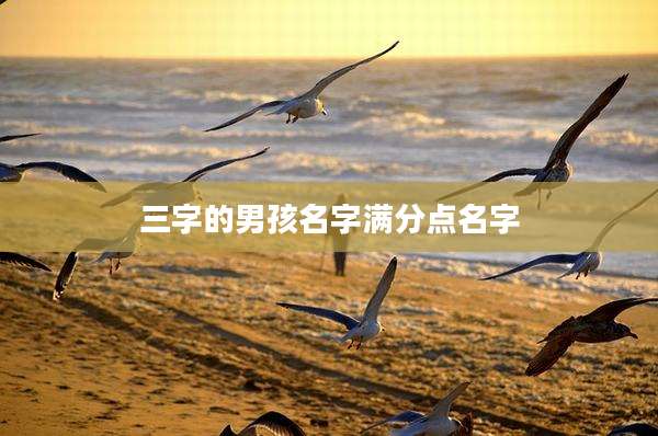 三字的男孩名字满分点名字