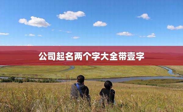 公司起名两个字大全带壹字