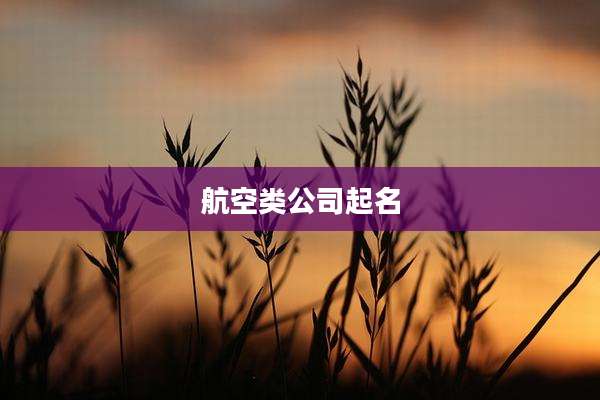 航空类公司起名