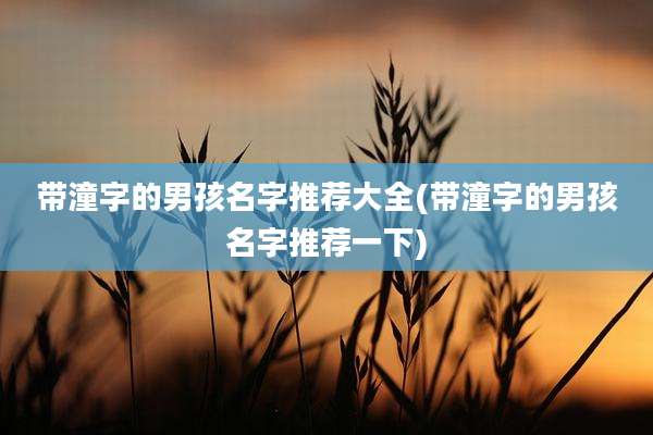带潼字的男孩名字推荐大全(带潼字的男孩名字推荐一下)