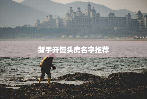 新手开馒头房名字推荐