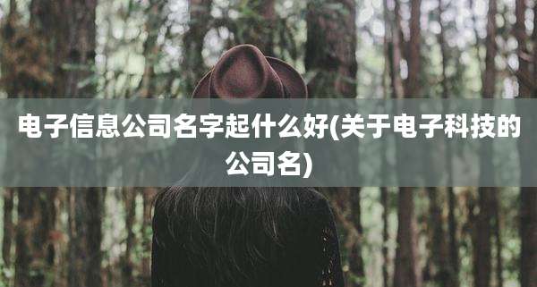 电子信息公司名字起什么好(关于电子科技的公司名)