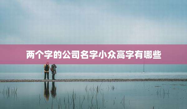 两个字的公司名字小众高字有哪些