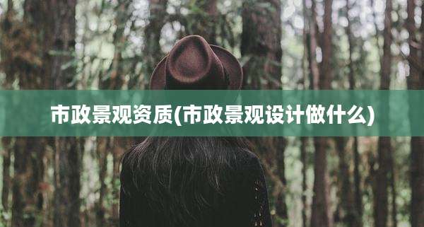 市政景观资质(市政景观设计做什么)