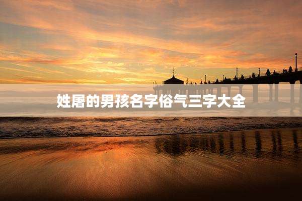 姓屠的男孩名字俗气三字大全