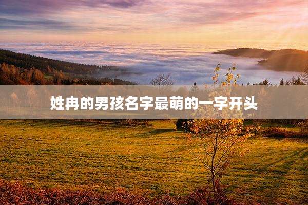 姓冉的男孩名字最萌的一字开头