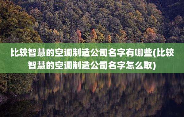 比较智慧的空调制造公司名字有哪些(比较智慧的空调制造公司名字怎么取)