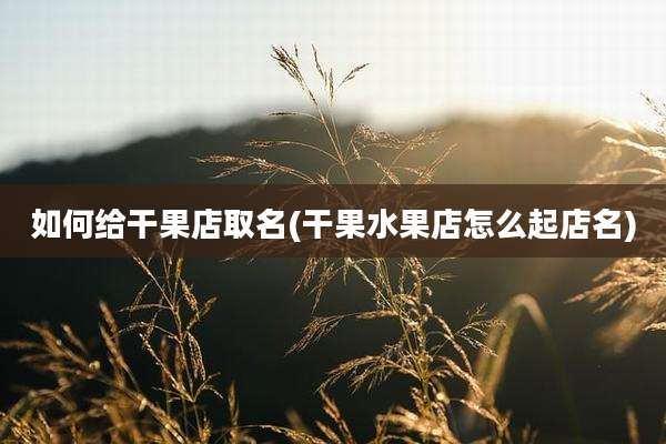 如何给干果店取名(干果水果店怎么起店名)