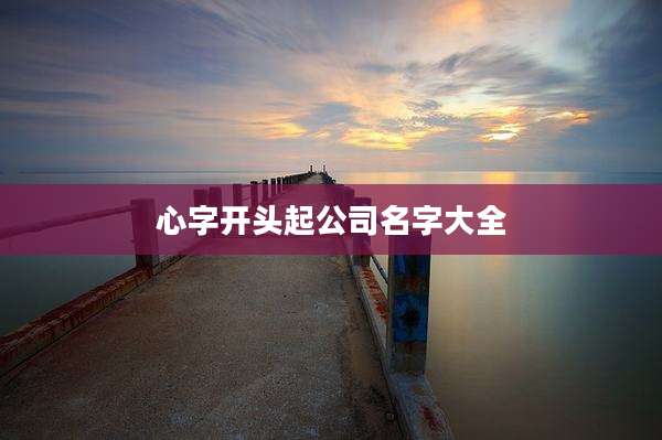 心字开头起公司名字大全
