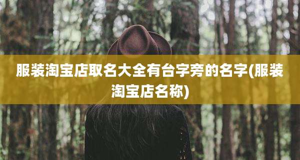 服装淘宝店取名大全有台字旁的名字(服装淘宝店名称)