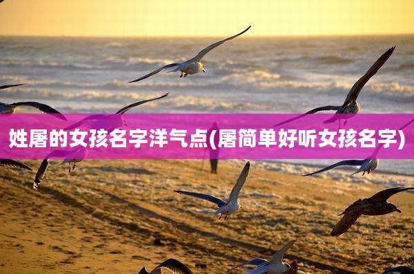 姓屠的女孩名字洋气点(屠简单好听女孩名字)