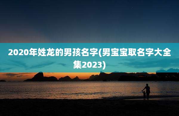 2020年姓龙的男孩名字(男宝宝取名字大全集2023)