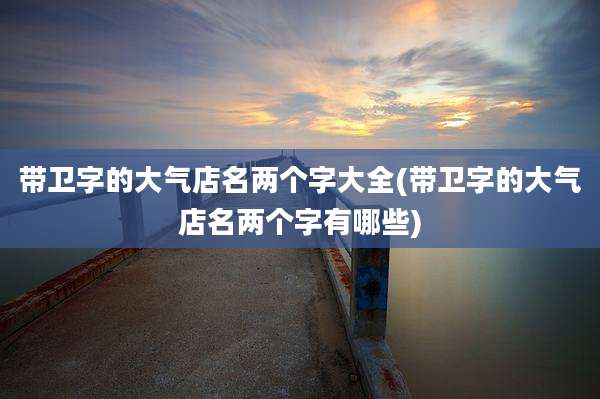 带卫字的大气店名两个字大全(带卫字的大气店名两个字有哪些)