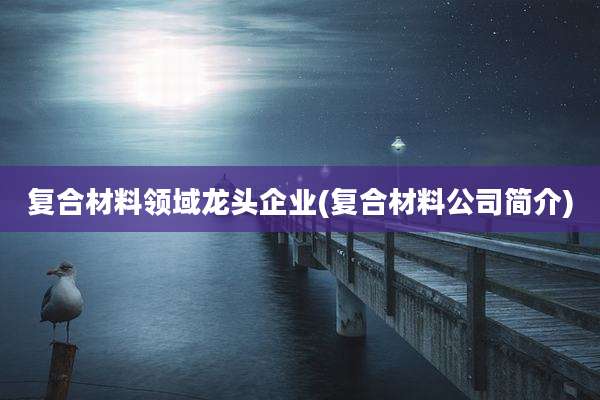 复合材料领域龙头企业(复合材料公司简介)