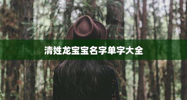 清姓龙宝宝名字单字大全