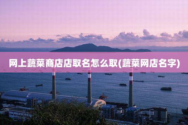 网上蔬菜商店店取名怎么取(蔬菜网店名字)