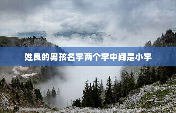 姓良的男孩名字两个字中间是小字