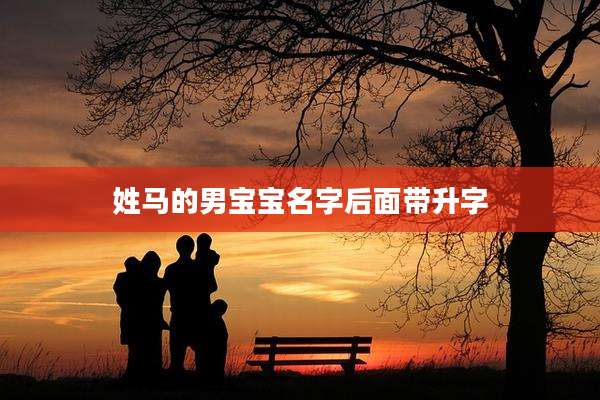 姓马的男宝宝名字后面带升字