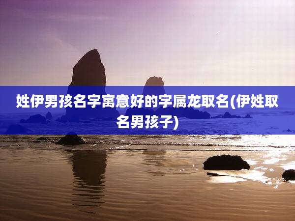 姓伊男孩名字寓意好的字属龙取名(伊姓取名男孩子)