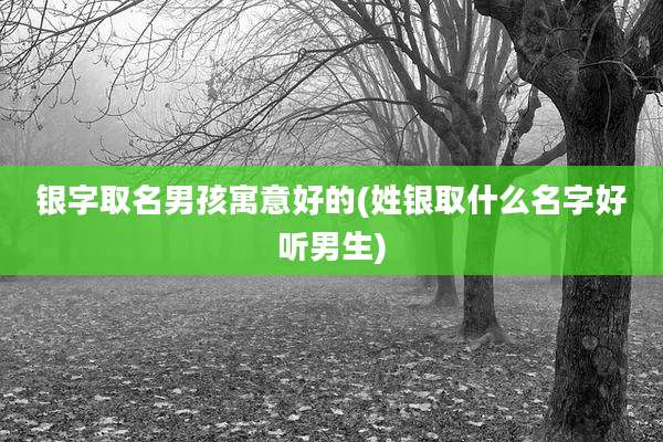 银字取名男孩寓意好的(姓银取什么名字好听男生)