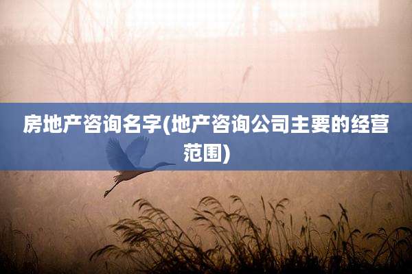 房地产咨询名字(地产咨询公司主要的经营范围)
