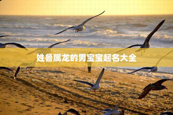 姓鲁属龙的男宝宝起名大全