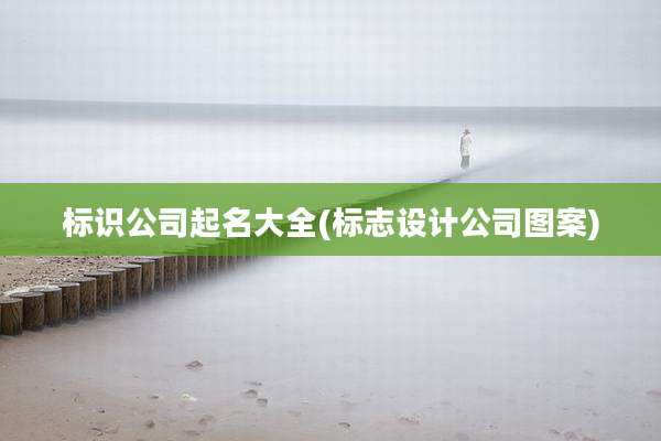 标识公司起名大全(标志设计公司图案)