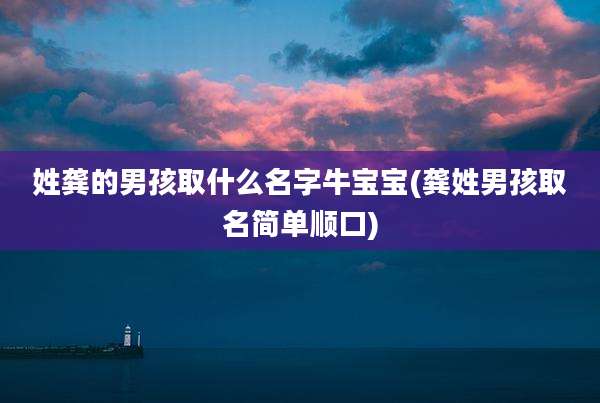 姓龚的男孩取什么名字牛宝宝(龚姓男孩取名简单顺口)
